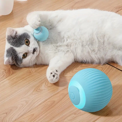 Balle interactive électronique Crazy Ball. Divertissement ultime pour tigre de salon  😹 🌐