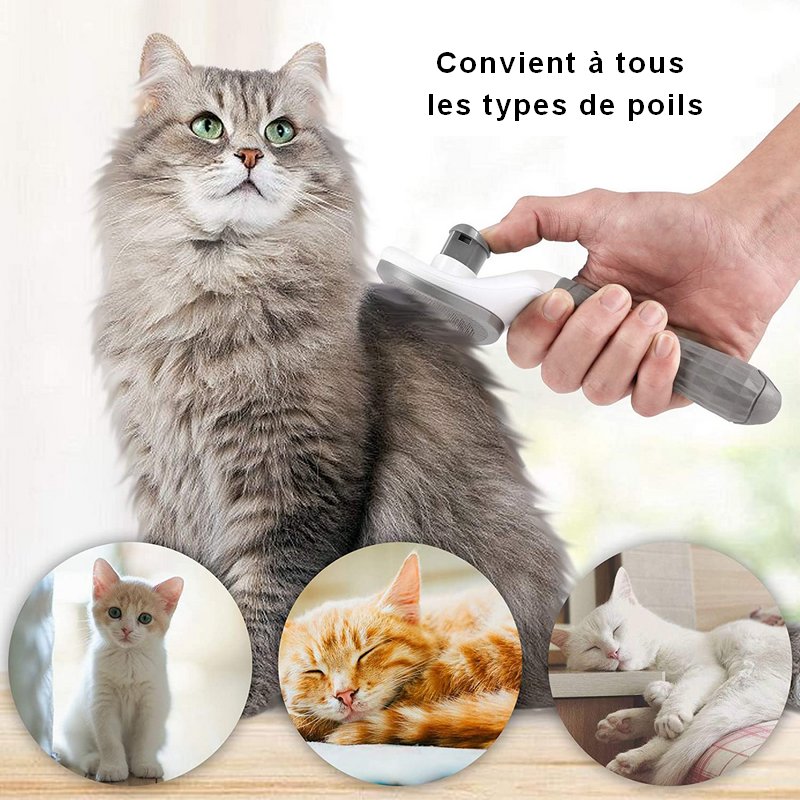 Brosse Activ Pet Pour Chat – Élimine Jusqu'à 98% Des Poils Morts – Douce Et Efficace – Pour Tous Types De Poils