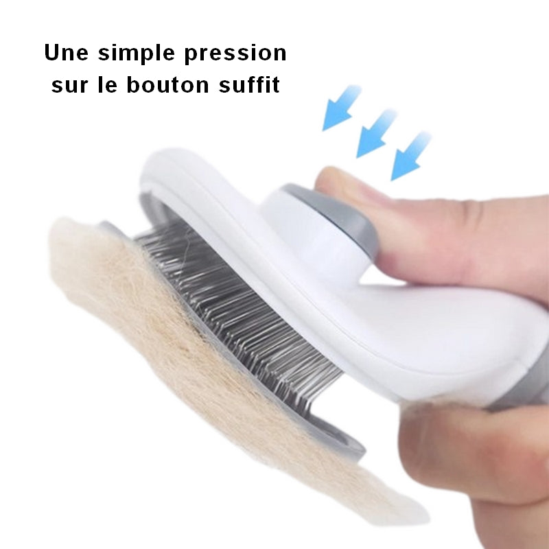 nettoyage brosse chat
