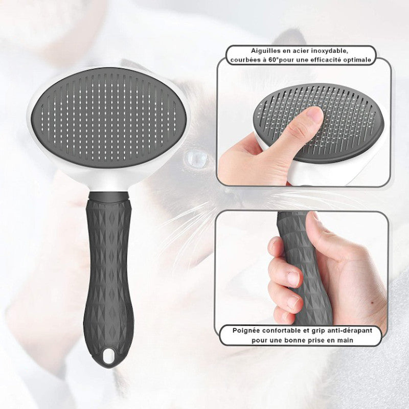 brosse toilettage chat