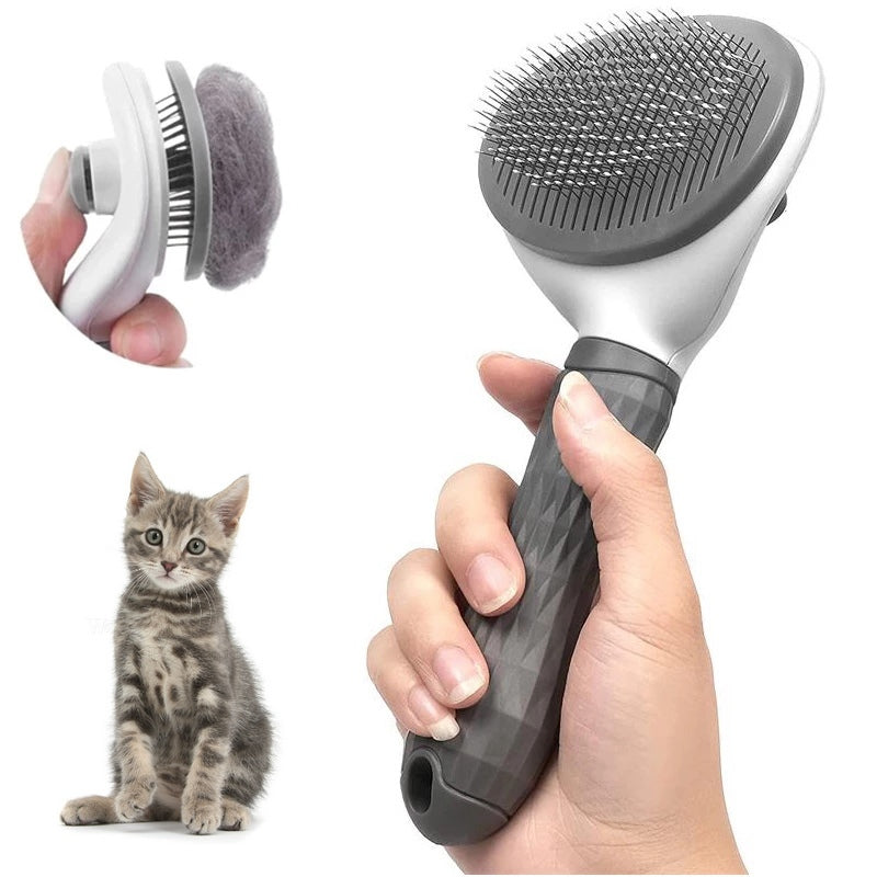 brosse pour chat
