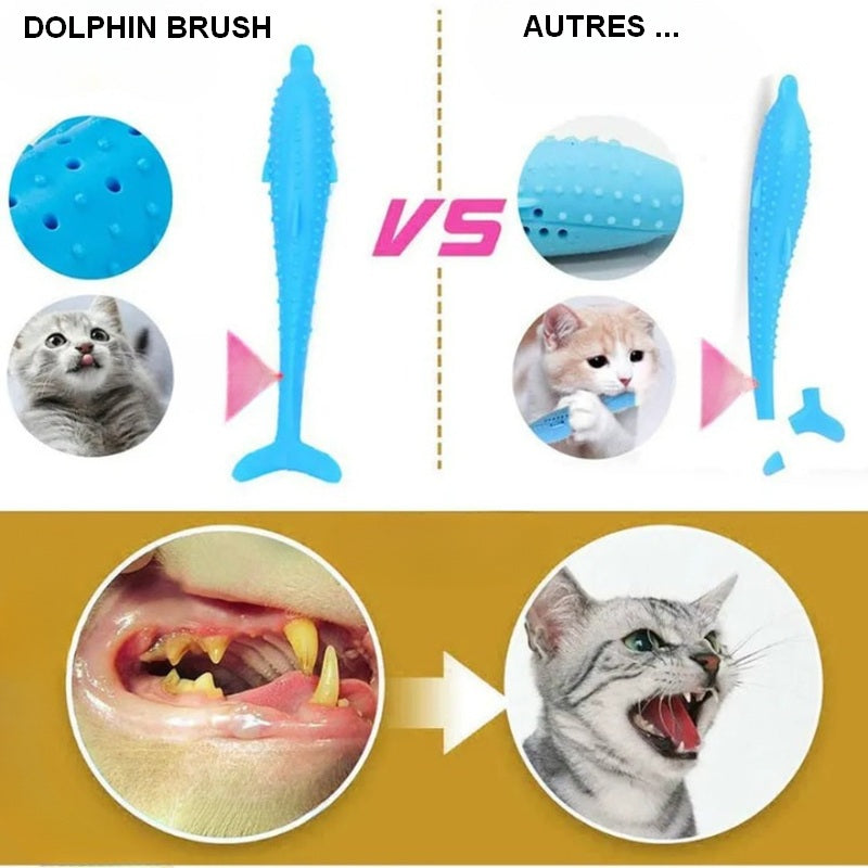 Brosse à dents pour chat DOLPHIN BRUSH jouet à mâcher 🐬🦷