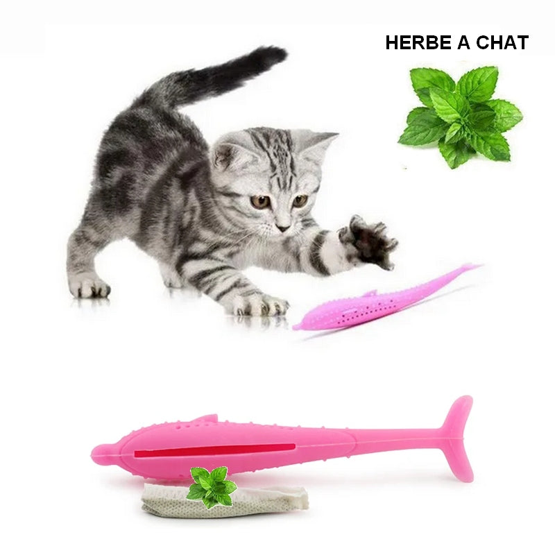 Brosse à dents pour chat DOLPHIN BRUSH jouet à mâcher 🐬🦷