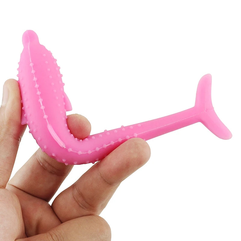 Brosse à dents pour chat DOLPHIN BRUSH jouet à mâcher 🐬🦷