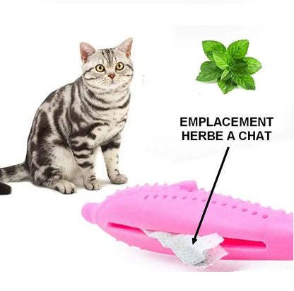 Brosse à dents pour chat DOLPHIN BRUSH jouet à mâcher 🐬🦷