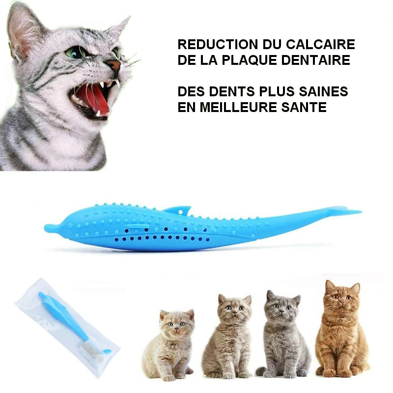 Brosse à dents pour chat DOLPHIN BRUSH jouet à mâcher 🐬🦷