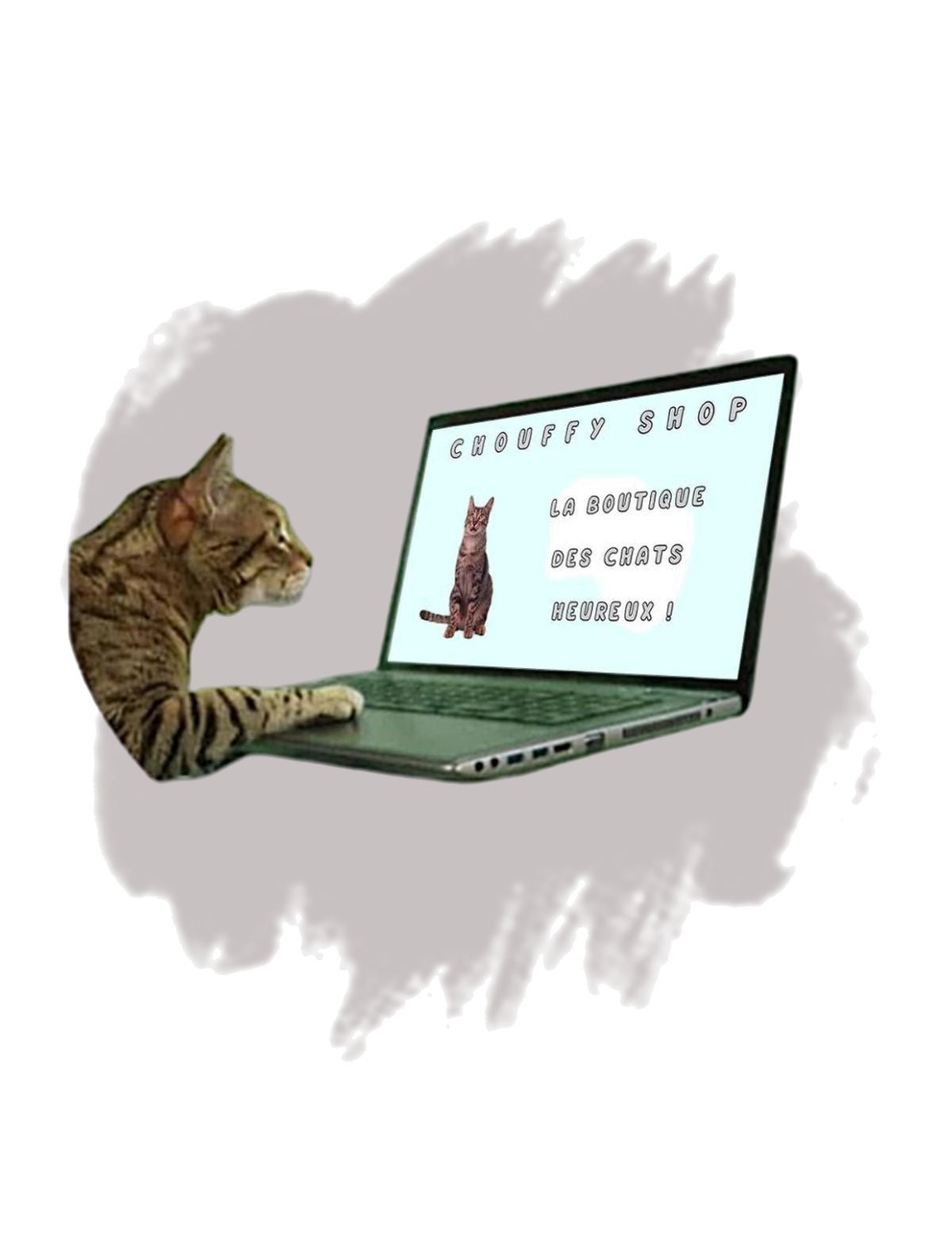 Chat tigré devant un pc portable navigue sur le site internet de CHOUFFY SHOP