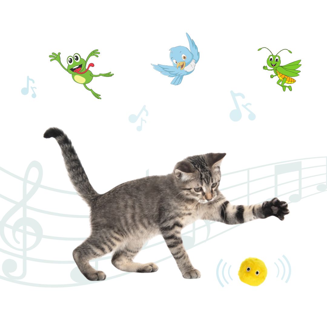 Balle interactive sonore pour chat FUNNY BALL