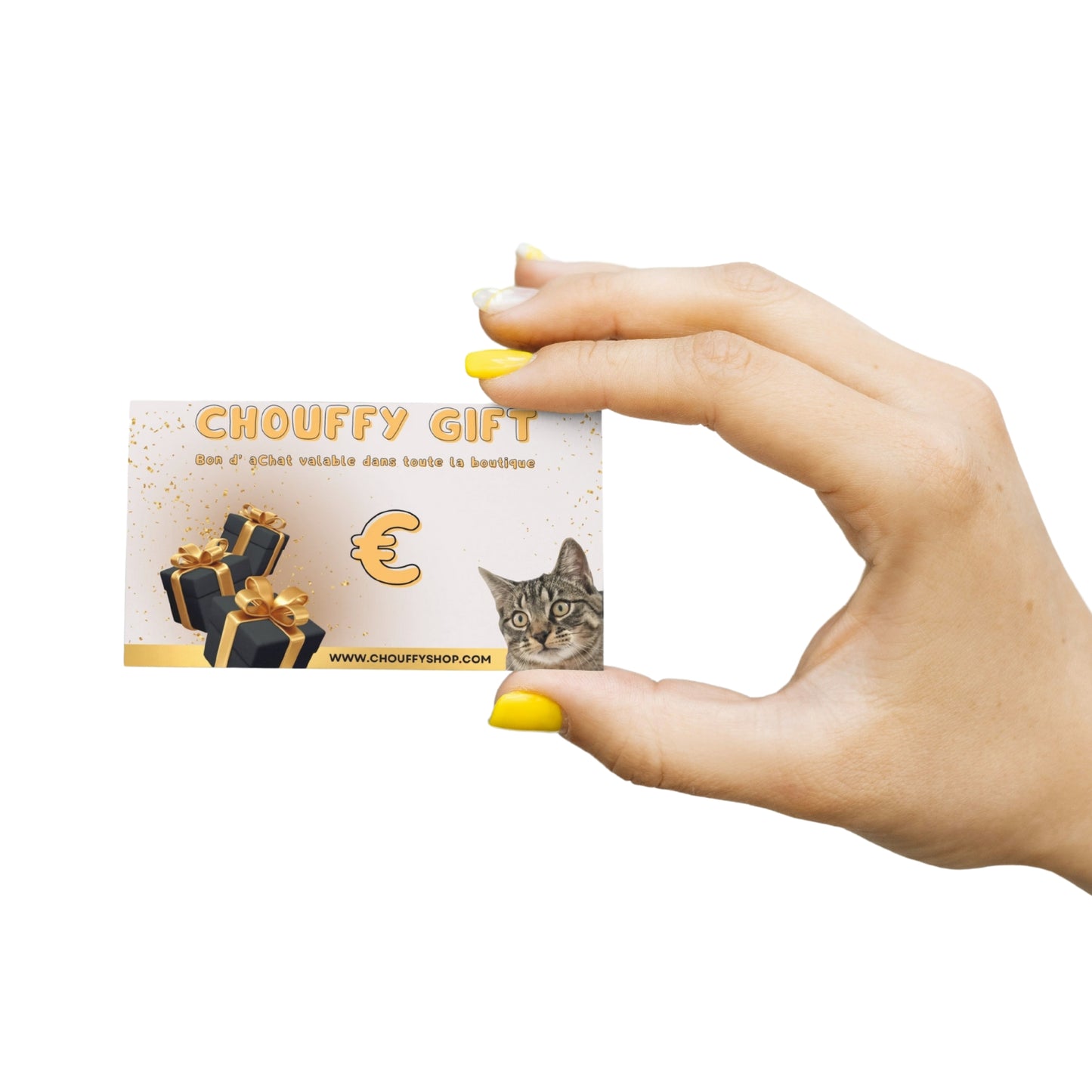 💳  E CARTE CADEAU CHOUFFY SHOP  😻 🐾