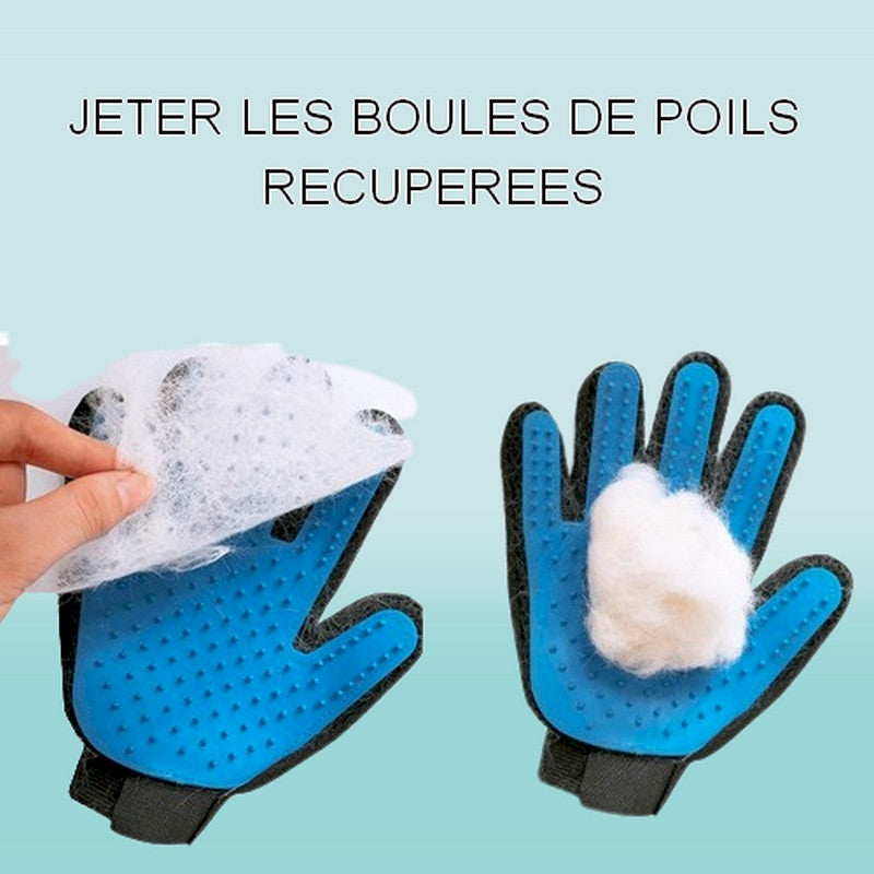 Gant de toilettage et de massage pour chat Kitty Glove 🤍 Moins de poils, plus de caresses en un seul geste !  🤚✋
