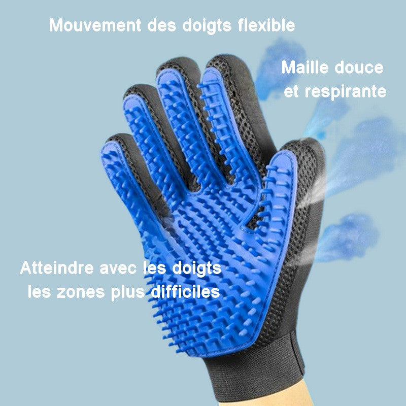 Gant de toilettage et de massage pour chat Kitty Glove 🤍 Moins de poils, plus de caresses en un seul geste !  🤚✋