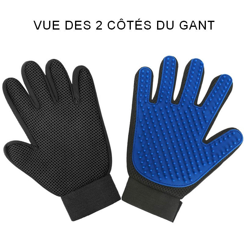 Gant de toilettage et de massage pour chat Kitty Glove 🤍 Moins de poils, plus de caresses en un seul geste !  🤚✋