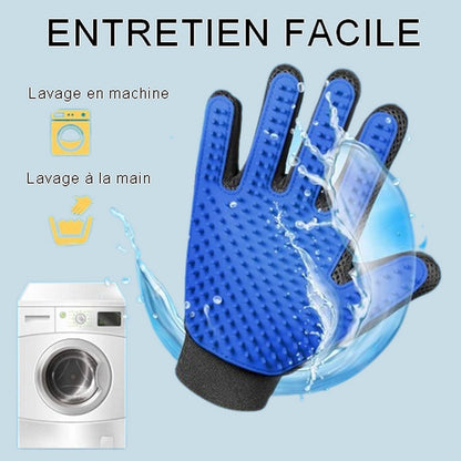 Gant de toilettage et de massage pour chat Kitty Glove 🤍 Moins de poils, plus de caresses en un seul geste !  🤚✋