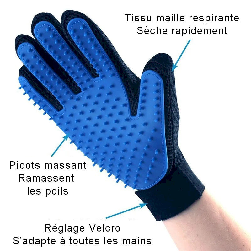 Gant de toilettage et de massage pour chat Kitty Glove 🤍 Moins de poils, plus de caresses en un seul geste !  🤚✋