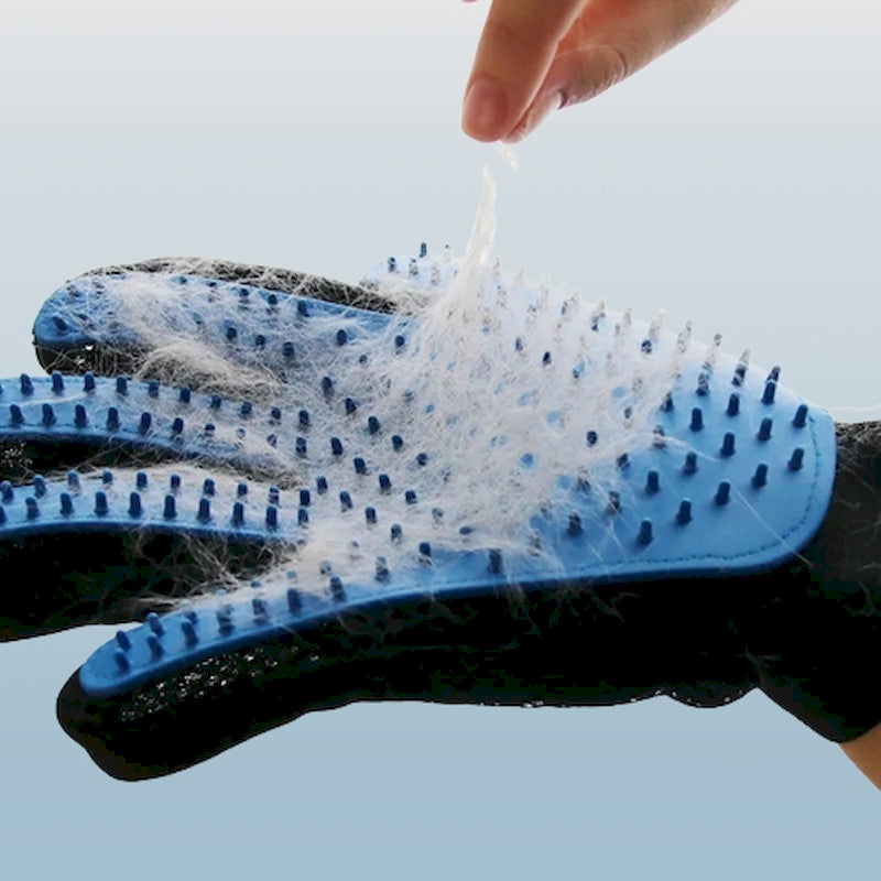 Gant de toilettage et de massage pour chat Kitty Glove 🤍 Moins de poils, plus de caresses en un seul geste !  🤚✋