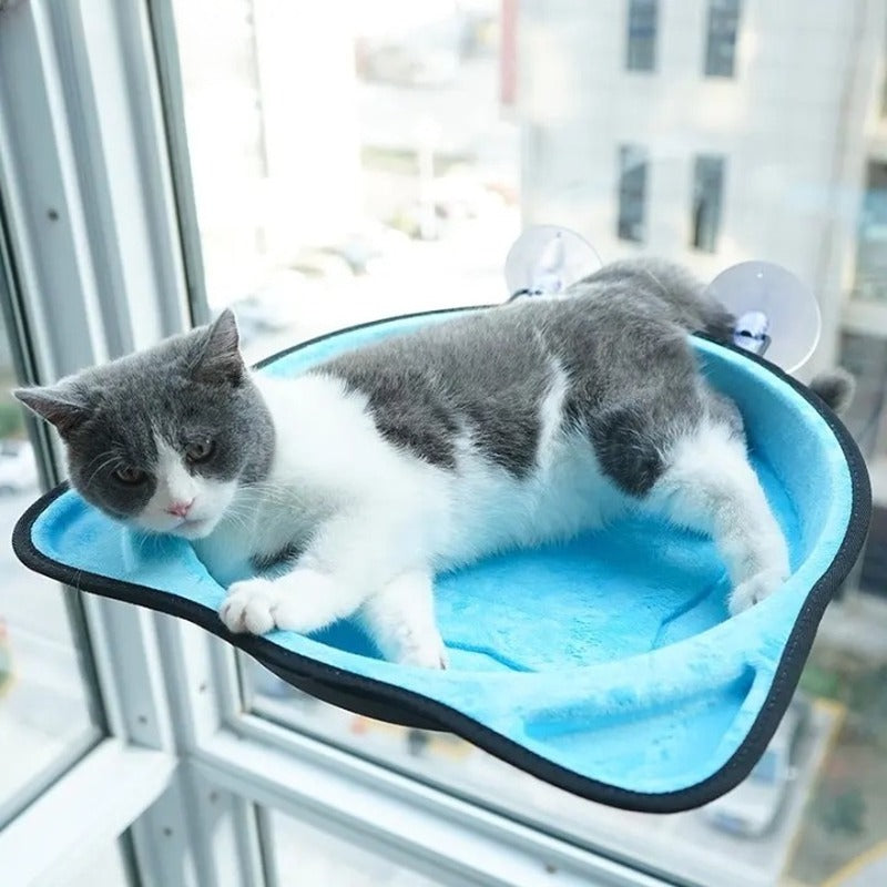 Hamac de fenêtre pour chat IDEAL VIEW : place de choix pour tout observer 😻👀