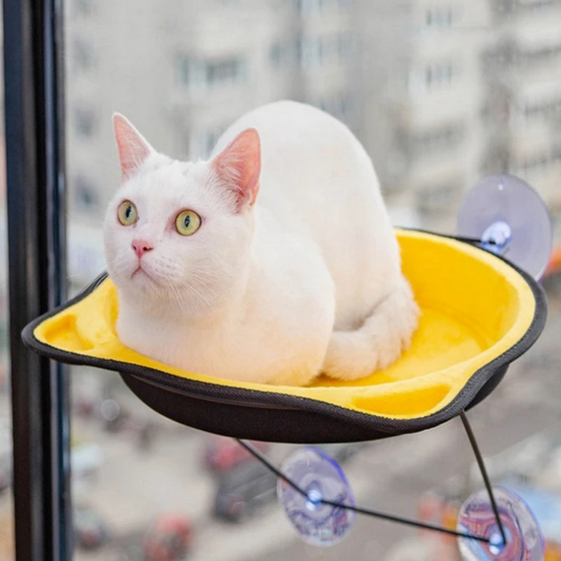 Hamac de fenêtre pour chat IDEAL VIEW : place de choix pour tout observer 😻👀