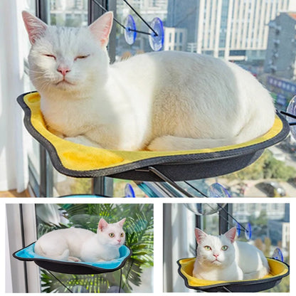 Hamac de fenêtre pour chat IDEAL VIEW : place de choix pour tout observer 😻👀