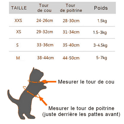 Harnais + laisse pour chat : promenez en toute sécurité votre félin avec notre ensemble Cat Ride  🐈🌍