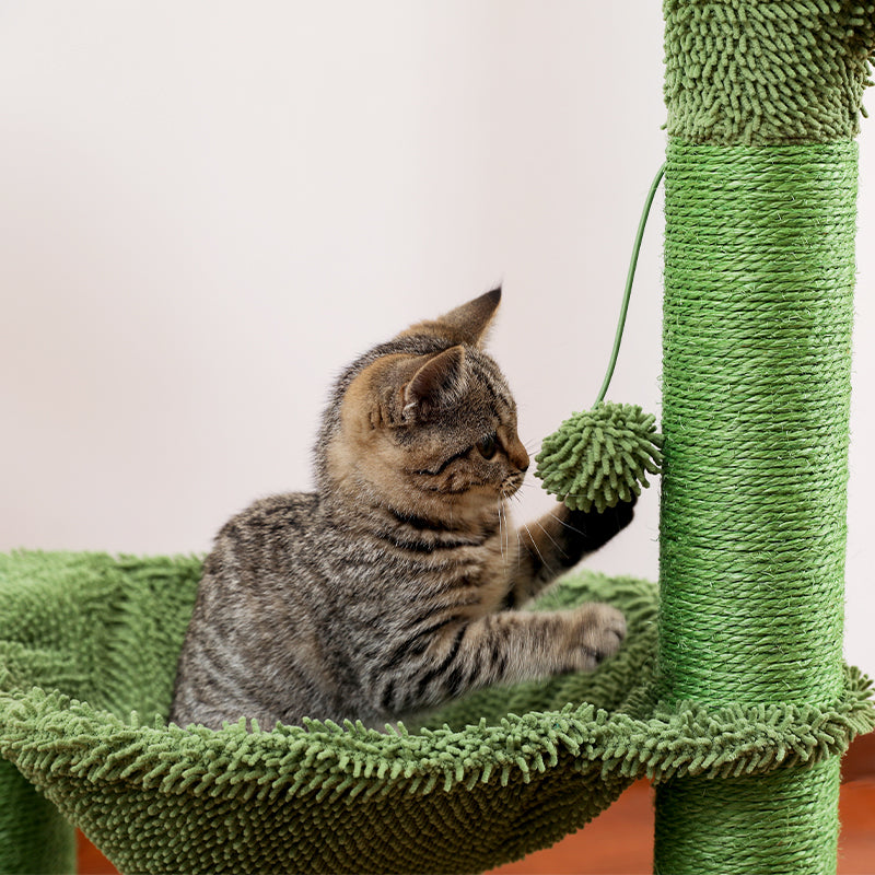 Arbre à chat cactus exotique SPIKY : dépaysement et farniente garantis 😻🌵