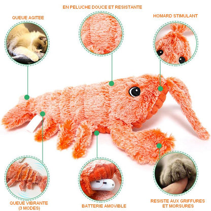 Homard électronique pour chat FUN LOBSTER : un drôle de crustacé 😹🦞