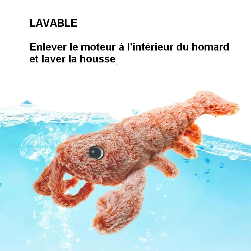 Homard électronique pour chat FUN LOBSTER : un drôle de crustacé 😹🦞