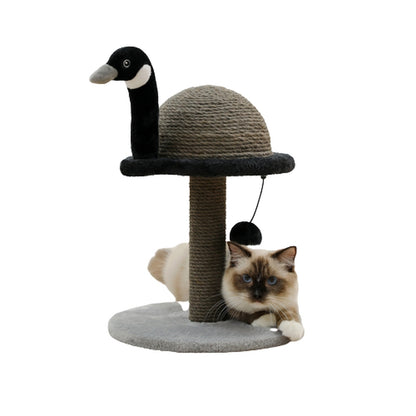 Arbre à chat BIRDY : Flamant, Cygne ou Canard : quel ami pour votre chat ? 🦢🦩🦆