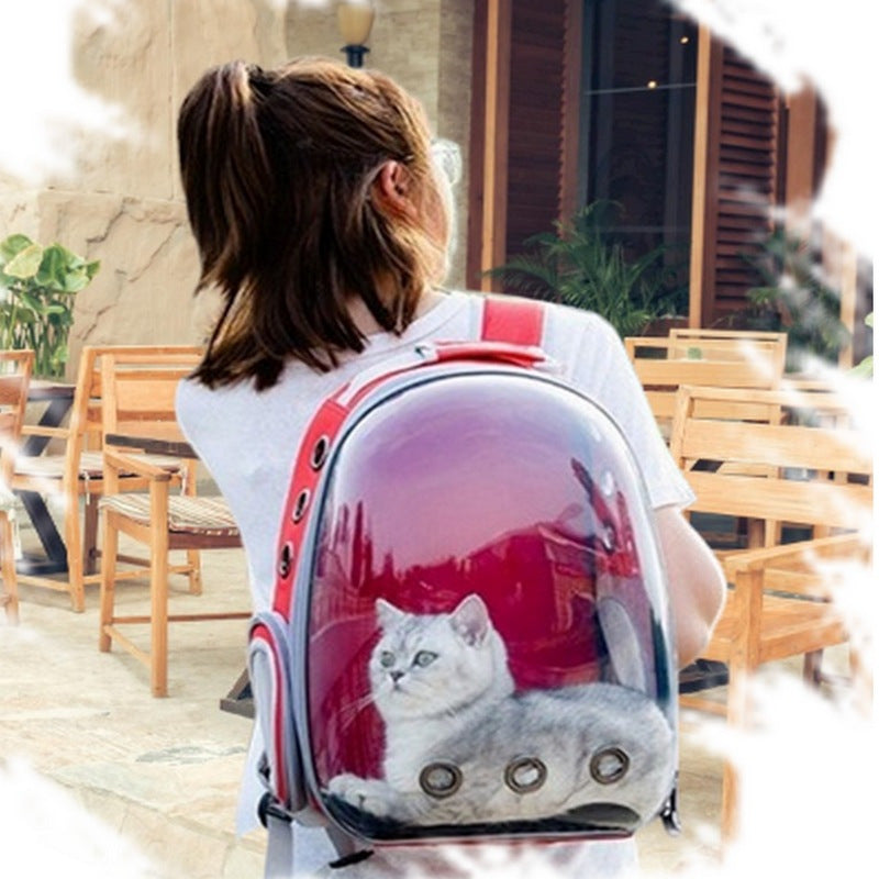 Sac à dos de transport Bulle pour chat CAPSULA 🧳🚀