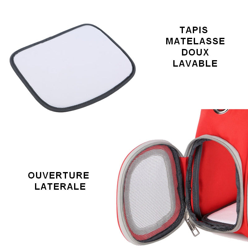 Sac à dos de transport Bulle pour chat CAPSULA 🧳🚀