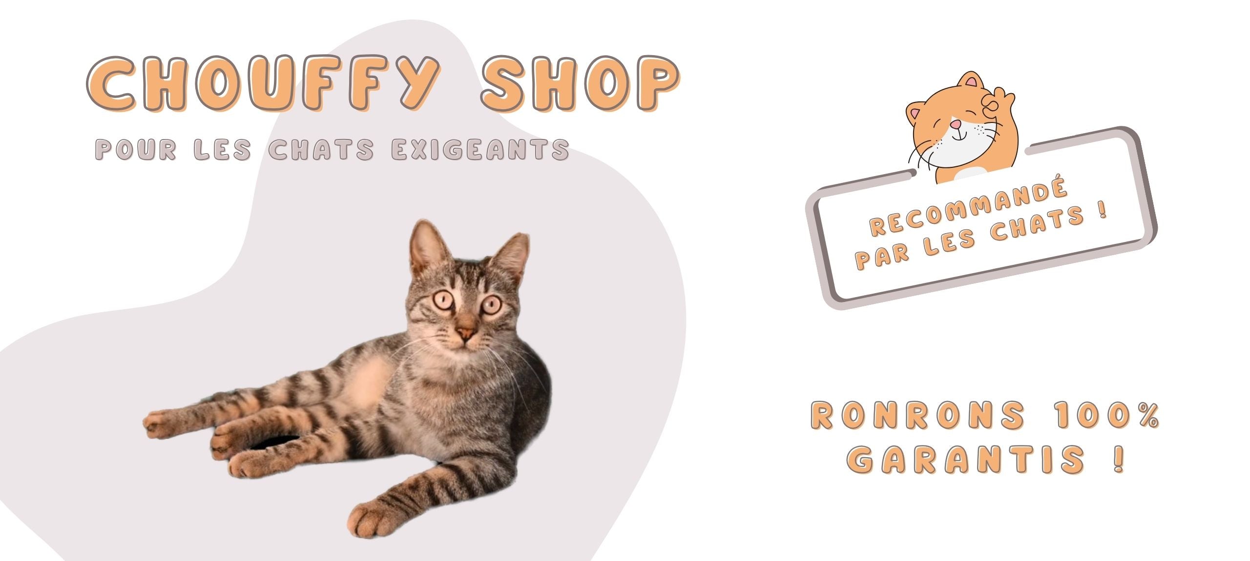 Charger la vidéo : Video de la boutique d accessoires bien-être pour chats - CHOUFFY SHOP